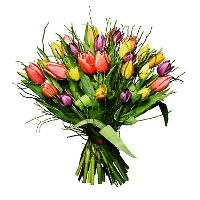 Inga-Lill  Andersson