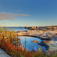 Margareta Wickström
